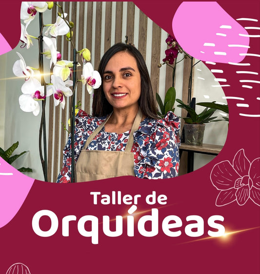 Taller de Orquídeas Phalaenopsis